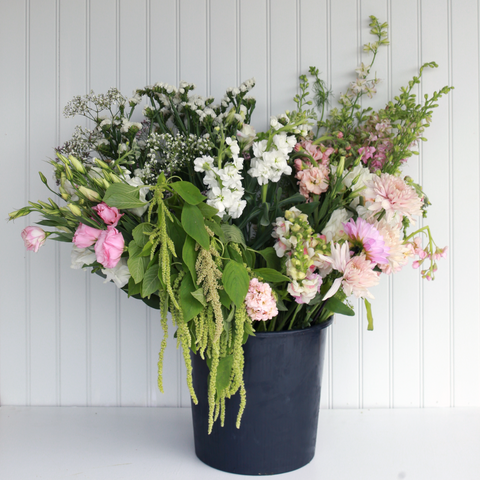 Bucket of Blooms