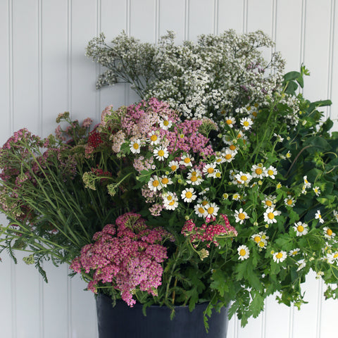 Bucket of Blooms