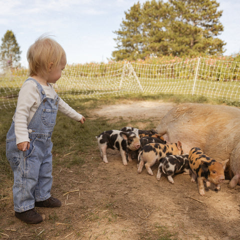 Piglets & Smiles