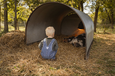 Lake County Littles Mommy & Me Event | Wednesday, October 16th 2024 at First Roots Farm