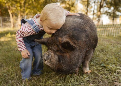 Pigs & Smiles