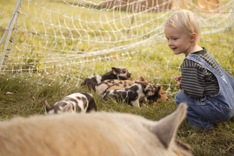 Piglets & Smiles