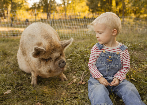 Lake County Littles Mommy & Me Event | Tuesday, October 15th, 2024 at First Roots Farm