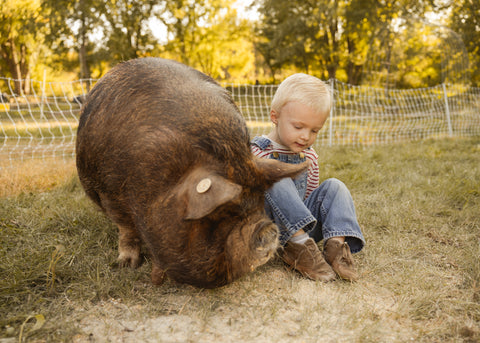 Lake County Littles Mommy & Me Event | Tuesday, October 15th, 2024 at First Roots Farm