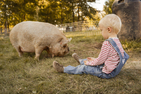 Lake County Littles Mommy & Me Event | Tuesday, October 15th, 2024 at First Roots Farm