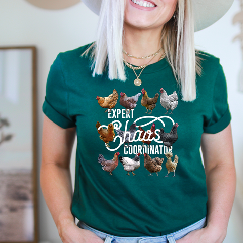 Expert Chaos Coordinator — Lightweight 100% Cotton Unisex Tshirt