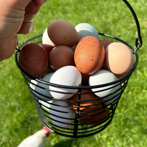 One Dozen Farm Fresh Eggs