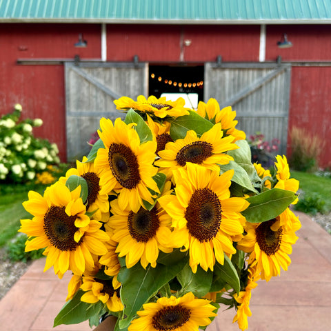 Petals and Pours | September 19th, 2024 at Mapleton Barn