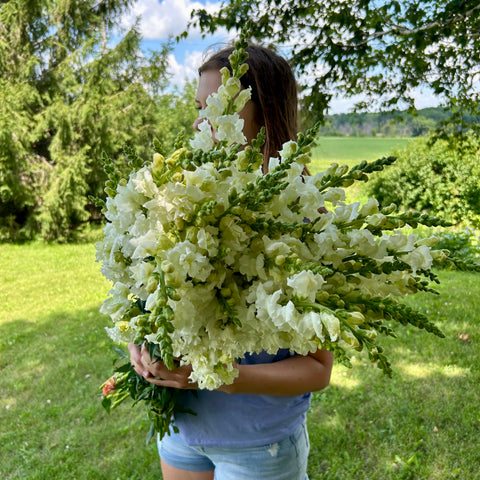 September CSA Flower Subscription