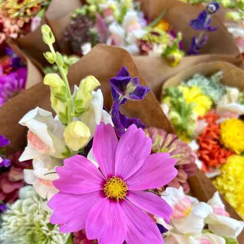 September CSA Flower Subscription