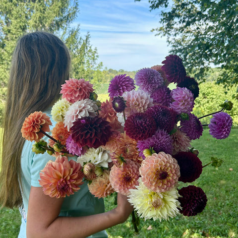 September CSA Flower Subscription