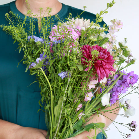 June CSA Flower Subscription