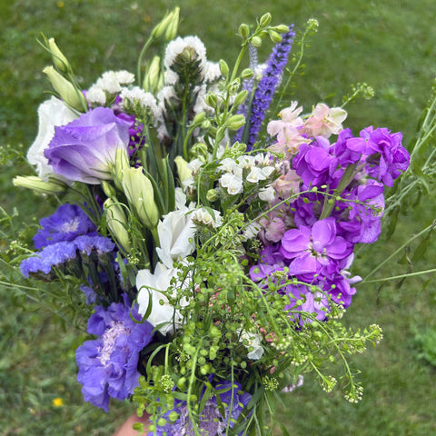 July CSA Flower Subscription