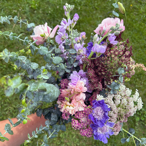 June CSA Flower Subscription