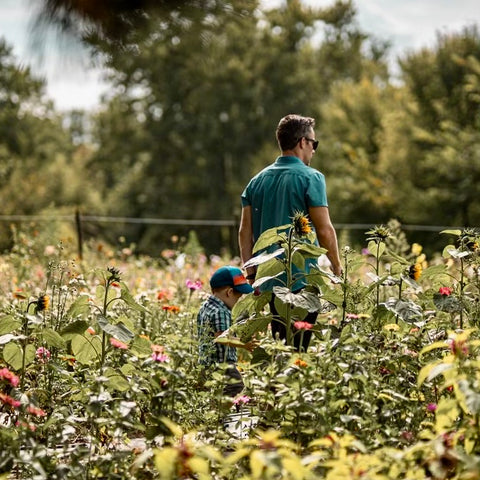 uPick Friday | August 15th, 2025 at First Roots Farm