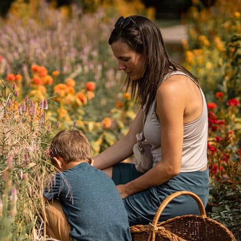 uPick Friday | August 22nd, 2025 at First Roots Farm