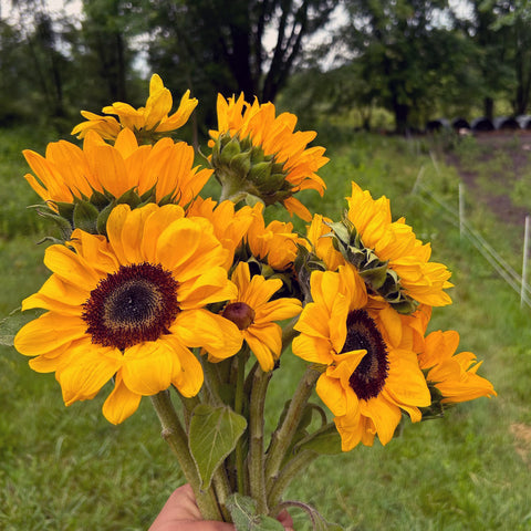 Summer Garden Bouquet