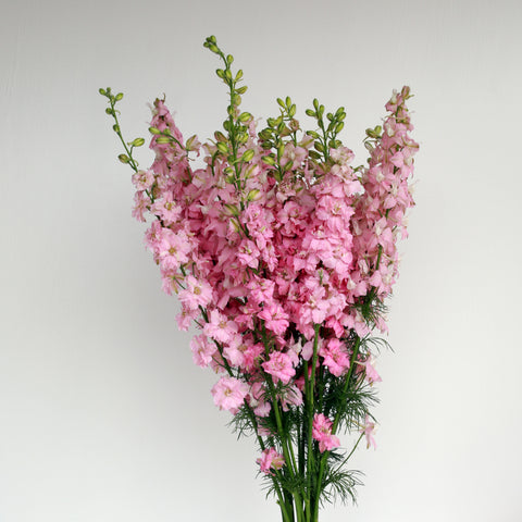 ADD-ON | +$15 for a total of 30 Date Night Stems