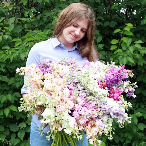 Wholesale Flower Consultation