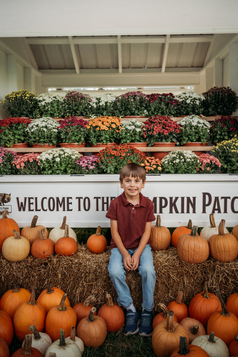 Pumpkins & Mums