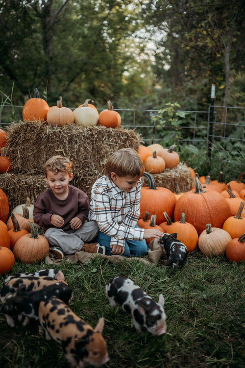 Lake County Littles Mommy & Me Event | Saturday October 12th, 2024 at First Roots Farm