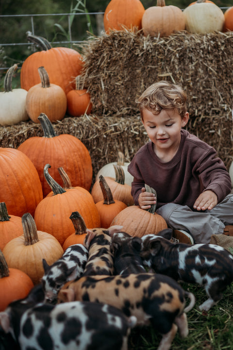 Lake County Littles Mommy & Me Event | Saturday October 12th, 2024 at First Roots Farm